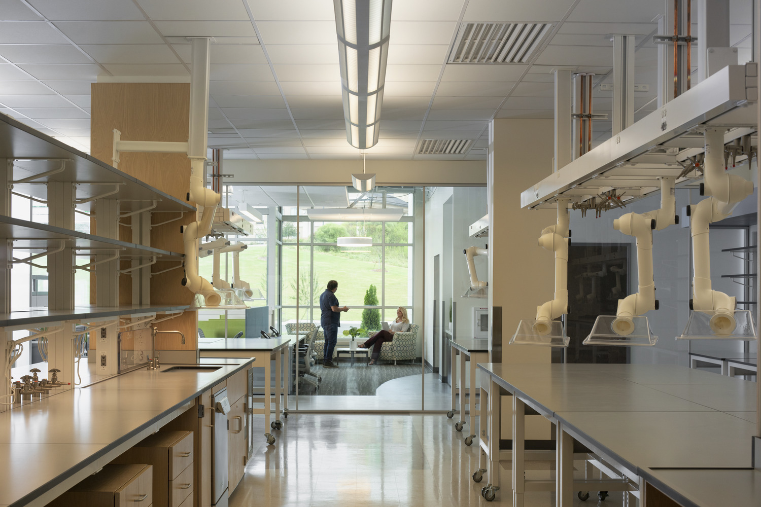 Photo of labs