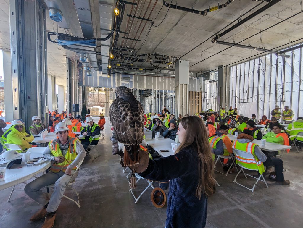 Auburn University Raptor Center demo