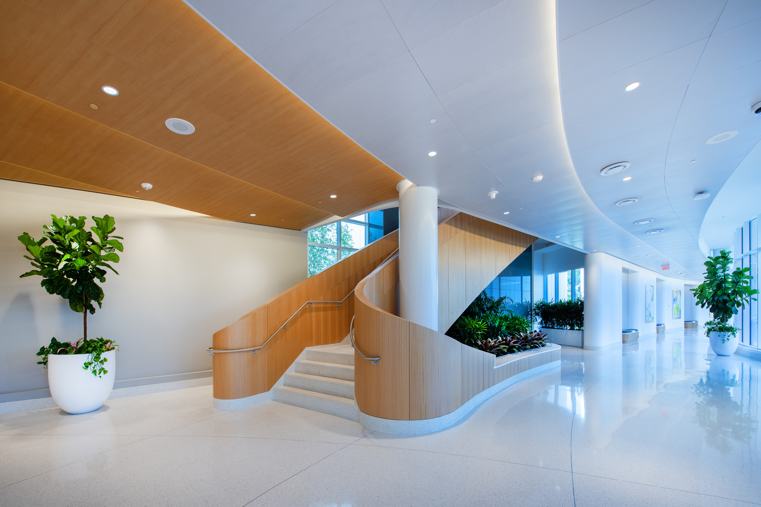 Mayo Clinic Duan Family Building