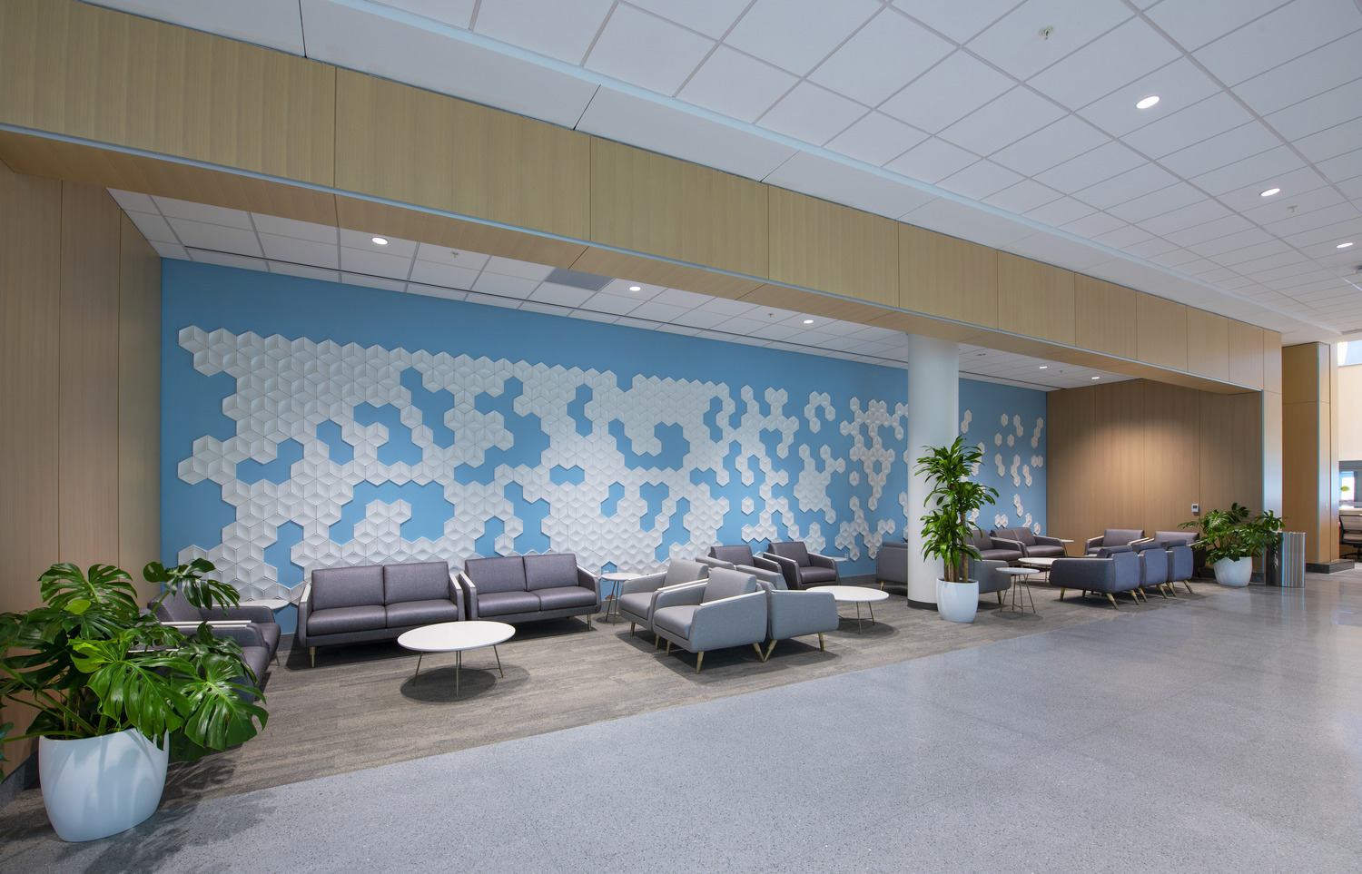 BayCare Hospital Wesley Chapel